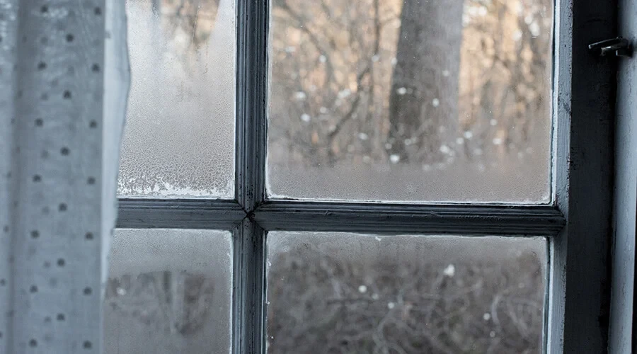 How to spot and get rid of 3 types of damp in the home